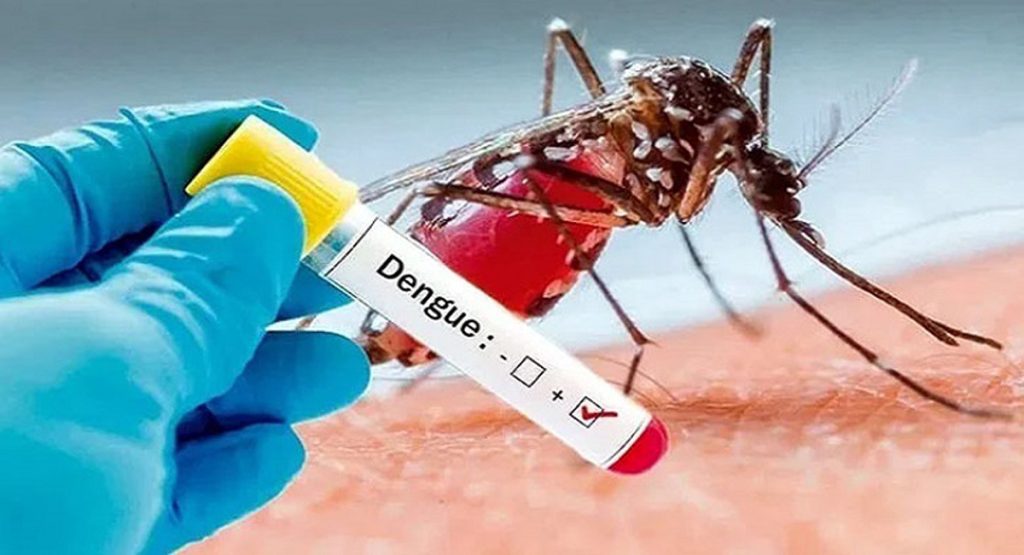 Dengue-fever