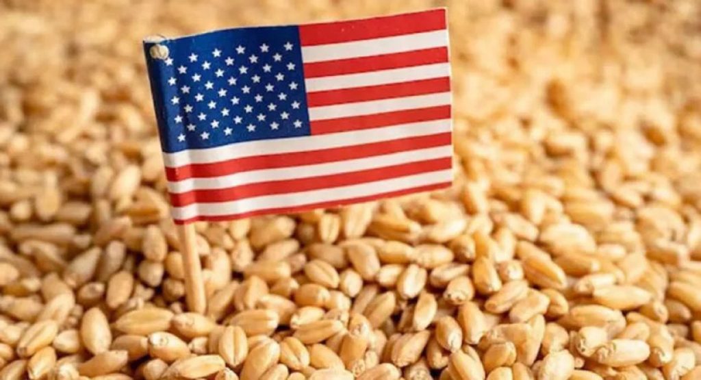 wheat